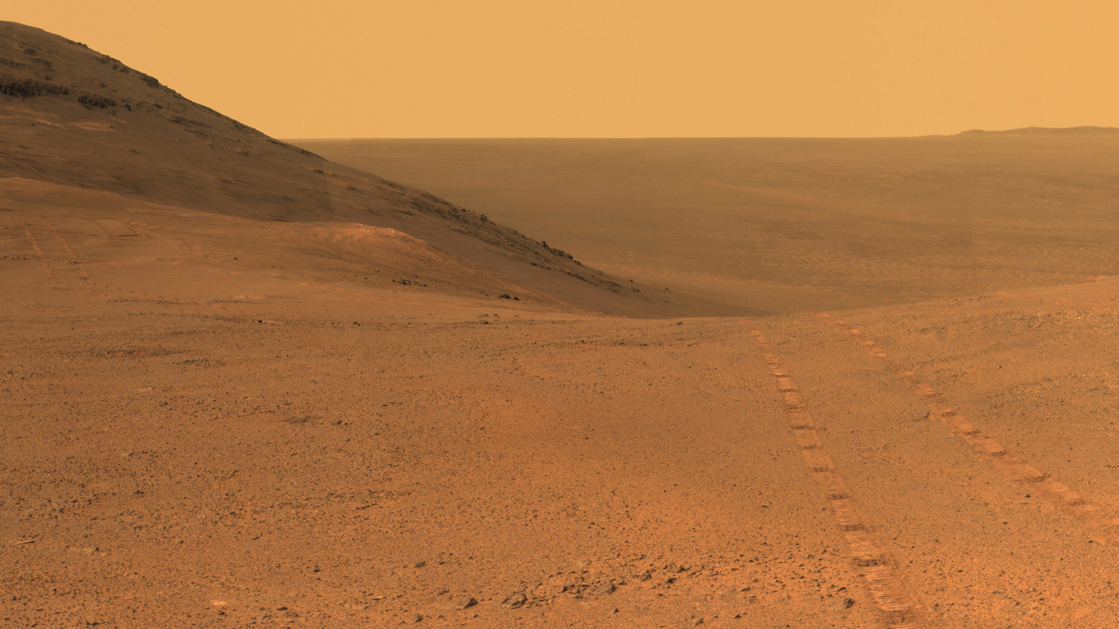 Mars Surface - Rover Tracks