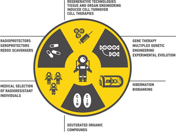 Human Radioresistance