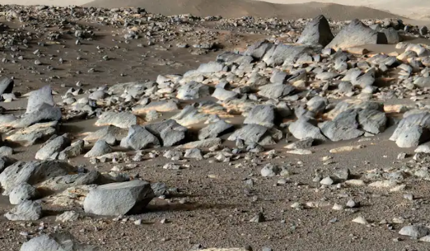 Instead of just sedimentary rocks, the Perseverance rover from NASA discovered something